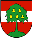 Wappendornbirn.svg-01